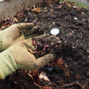 06. Vermicomposter in Colombia - $280