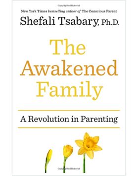 The Awakened Family (Hardcover)