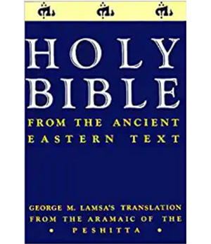 Holy Bible (Softcover)