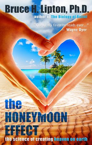 THE HONEYMOON EFFECT (Softcover)