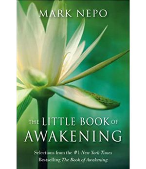 The Little Book of Awakening (Hardcover)