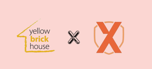 Beating Domestic Abuse with STEM