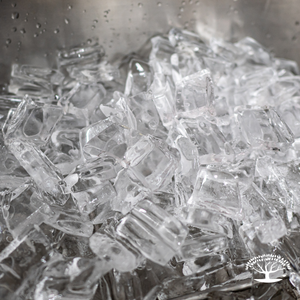 Ice & Water Dispensing Machine