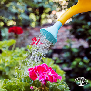 Landscape & Garden Watering