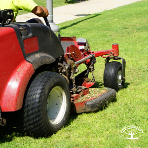 Lawn Mower Year End Servicing