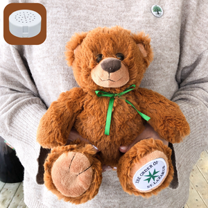 Recording Device for Teddy Bears