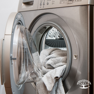 Daily Laundry Service