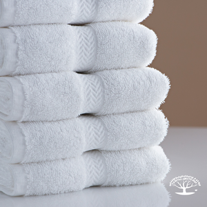Wash Cloths (24 Count)