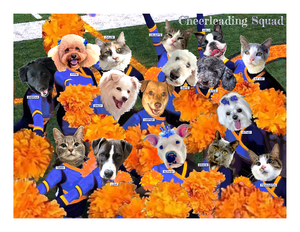 2027 Furry Friends of SAVE Calendar