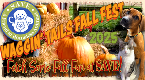Waggin' Tails Fall Fest
