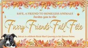 Furry Friends Fall Fete