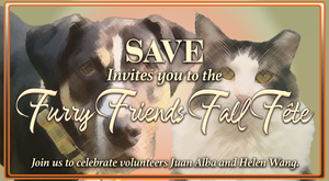 Furry Friends Fall Fete