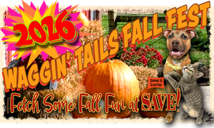 2026 Waggin' Tails Fall Fest Vendor Donation