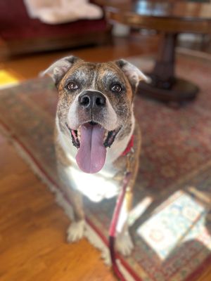 Max 