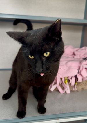 Tux