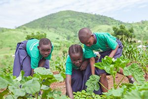 Support a School Farm