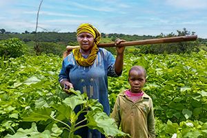 Tools & Training for Farmers