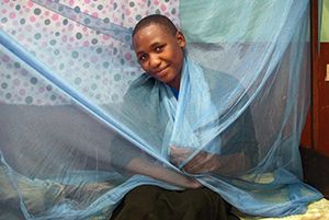 Mosquito Netting