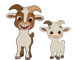 Nanny and Buckling GOAT- Ghana