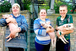 Piglets