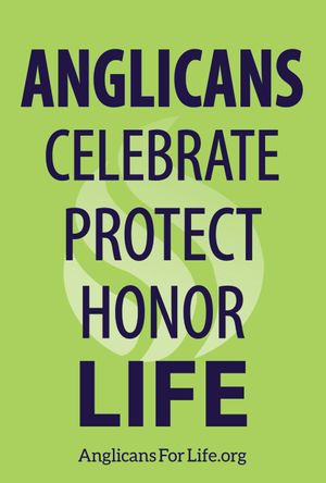 Anglicans Celebrate, Protect, Honor Life March for Life Sign