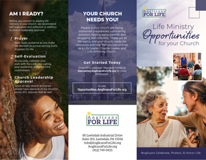Life Ministry Opportunities for Your Church