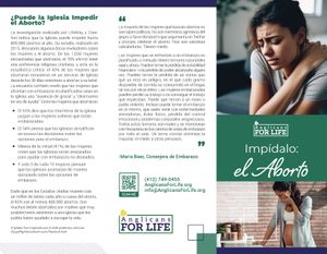 Impídalo: el Aborto (Prevent the One)