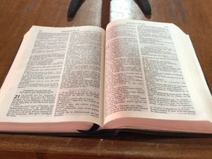 Print Bible
