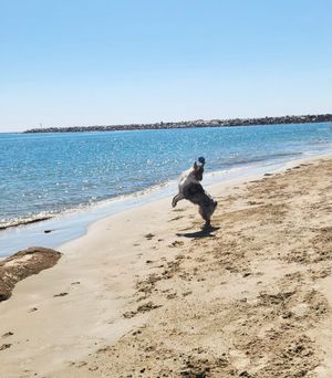 Luka on the Beach