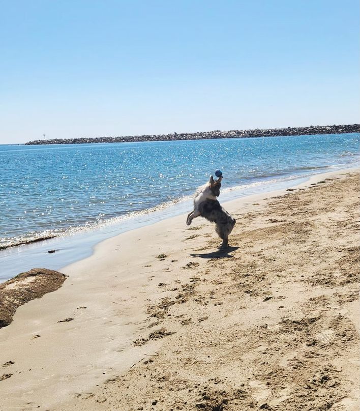 Luka on the Beach
