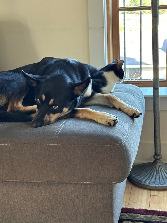 Emma and Judy