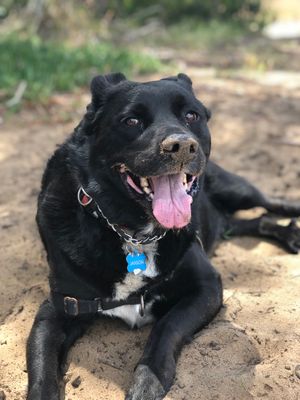 Meet Jaxson