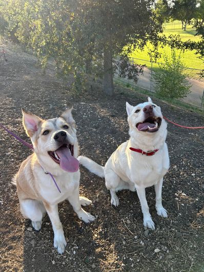 Prepare for Trouble - and Make It Double