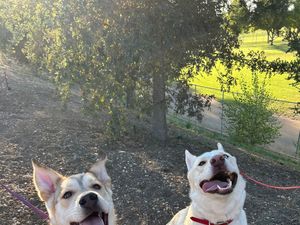 Jax and Katsu