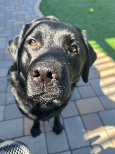 Josephine