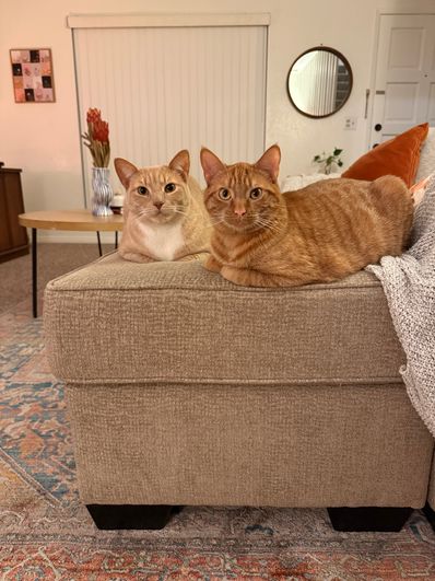 breakfast boys