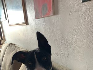 Tucker