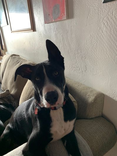 Tucker