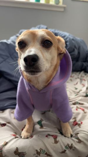 Vote for Winnie