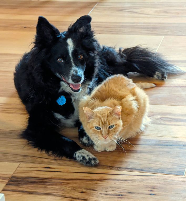 Rosa and Joey - Best Friends Forever