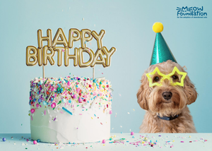 E-Birthday Card: Dog