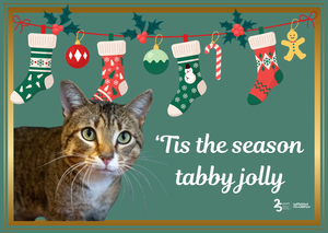 'Tis The Season Tabby Jolly