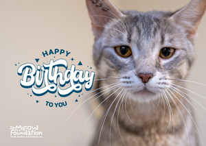 E-Birthday Cards