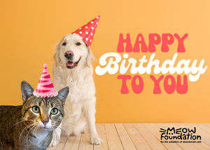 E-Birthday Card McConaughey and Dog