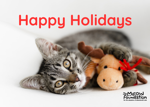 Happy Holidays: Cat