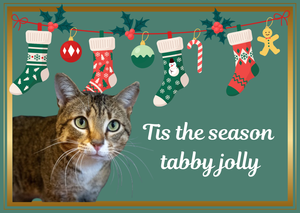 Tis The Season Tabby Jolly