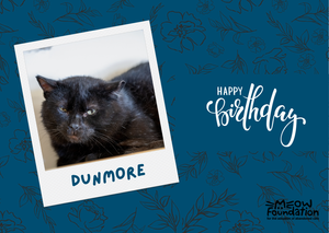 Birthday Card- Dunmore