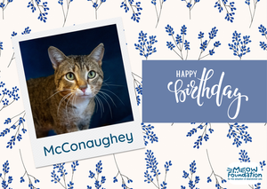 E-Birthday McConaughey