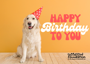 E-Birthday Card