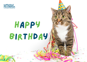 E-Birthday Card